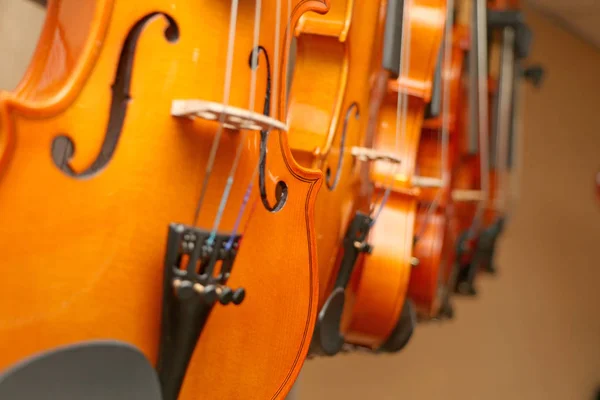 Model goed viool voor viool violist — Stockfoto