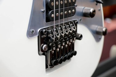 çok sayıda elektrik gitar üstünde belgili tanımlık sayaç mağaza