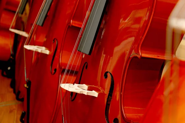店の窓の偉大なヴァイオリンとチェロ — ストック写真