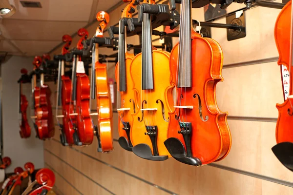 Modello Buon Violino Violinista — Foto Stock