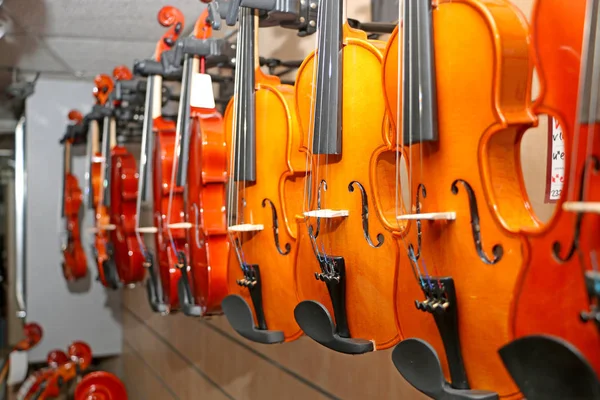 Modello Buon Violino Violinista — Foto Stock