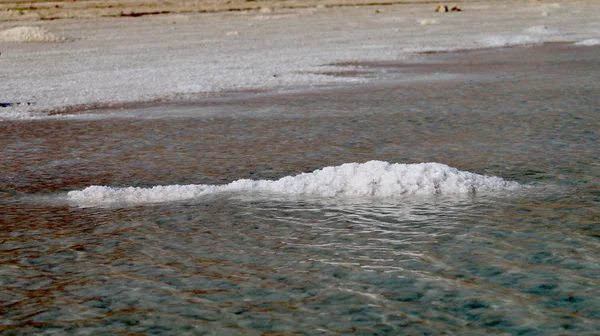 Pedras salgadas do Mar Morto no Mar Morto — Fotografia de Stock