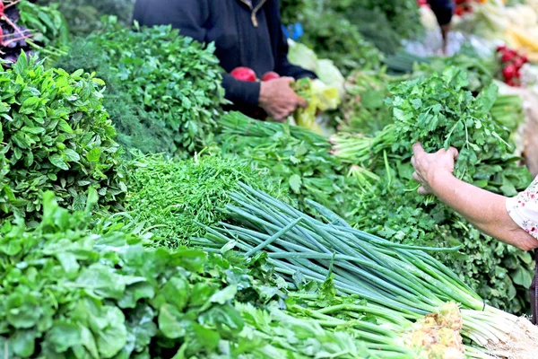 herbs for cooking counter market