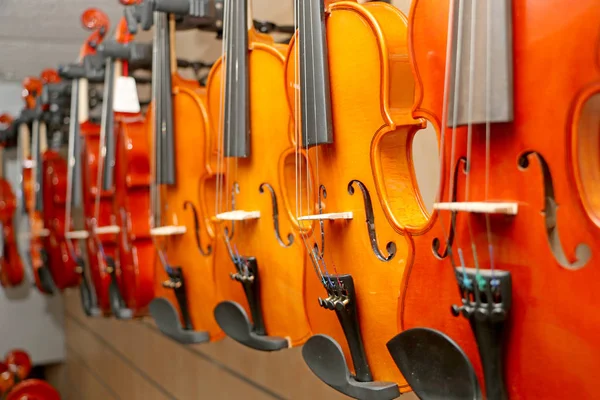 Modello Buon Violino Violinista — Foto Stock