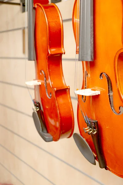 Modello buon violino per violino e skrypachok — Foto Stock