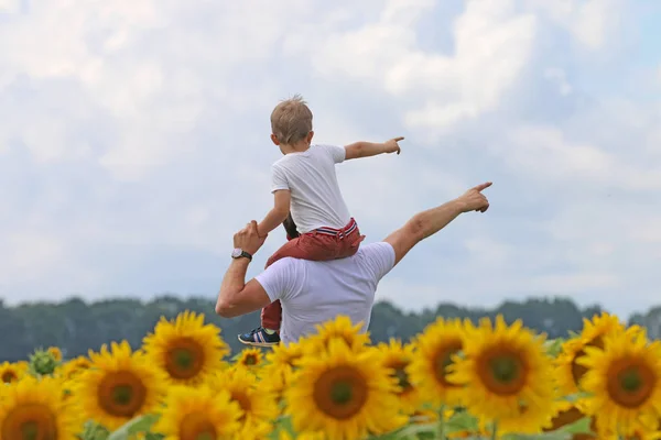 Отец с ребенком в поле цветущих подсолнухов , Стоковое Фото