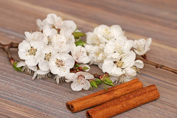 Flor blanca primavera sobre un fondo de madera —  Fotos de Stock