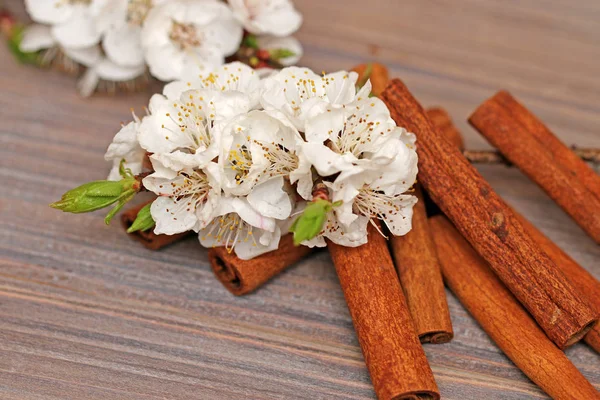 Flor blanca primavera sobre un fondo de madera —  Fotos de Stock