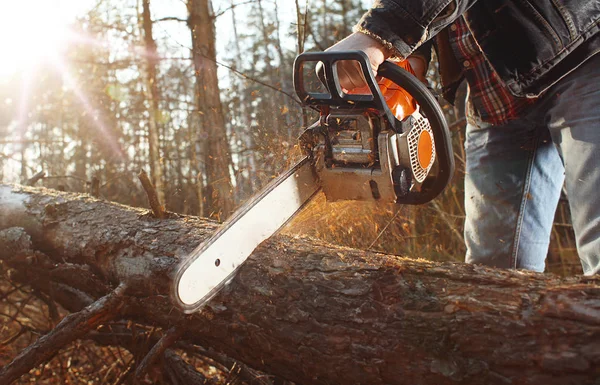 Logger lavoro con motosega nella foresta — Foto Stock
