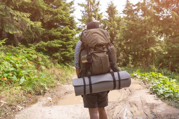 Mann wandert auf Waldweg — Stockfoto