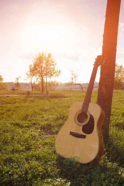 Park arka planındaki ağacın yanındaki akustik gitar.
