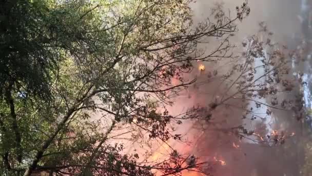 Duży Ogień Mgła Dym Strażak Strzelanie Wysokości Latające Niebo Drone — Wideo stockowe