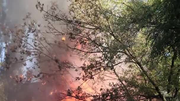 Duży Ogień Mgła Dym Strażak Strzelanie Wysokości Latające Niebo Drone — Wideo stockowe