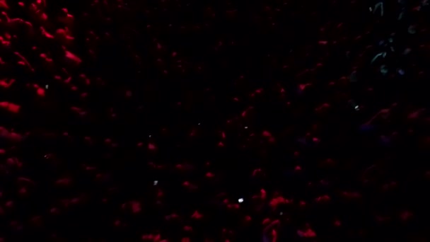 Panorama Lotu Ptaka Widok Niebo Ogromny Tłum Fanów Otwartym Koncercie — Wideo stockowe