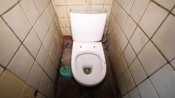 Alte Schmutzige Gemeinsame Öffentliche Toilette Fliesen Geteilt — Stockvideo