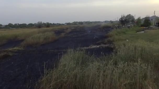 Пожарная Машина Тушит Пожар Погашение Сжигания Травы Помощью Дождевальной Аэросъемки — стоковое видео