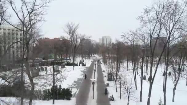 冬の街 高さからの眺め 雪に覆われた都市公園の眺め冬の街の眺め高さからのドニプロ — ストック動画