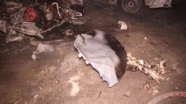 Şehir caddesinde yangın söndürücüyle yangını söndürmeye çalışan ama içerisi tamamen yanmış bir araba yangını.