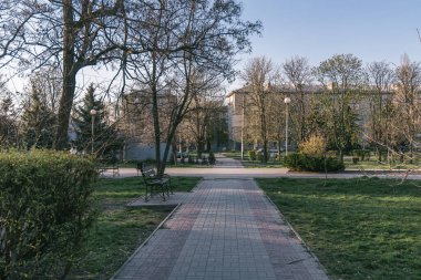 Ukrayna. NickOPOL. Haziran 2017: Ukrayna Şehir Konseyi