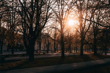 Ukrayna. NickOPOL. Haziran 2017: Ukrayna Şehir Konseyi