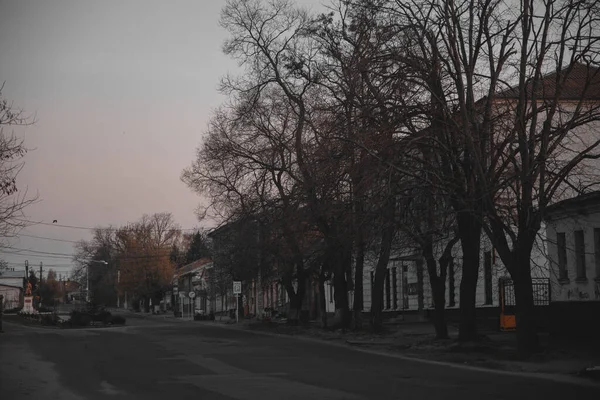 Ukrayna. NickOPOL. Haziran 2017: Ukrayna Şehir Konseyi