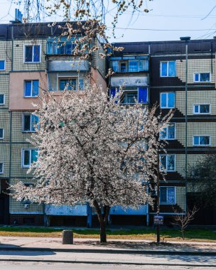 Ukrayna. NickOPOL. Haziran 2017: Ukrayna Şehir Konseyi