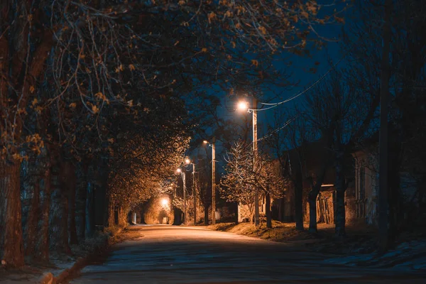 Ukrayna. NickOPOL. Haziran 2017: Ukrayna Şehir Konseyi