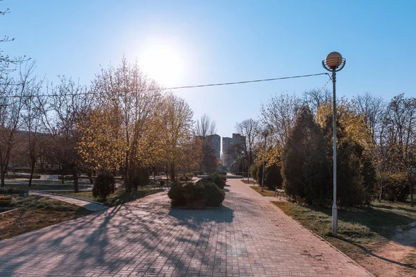Ukrayna. NickOPOL. Haziran 2017: Ukrayna Şehir Konseyi
