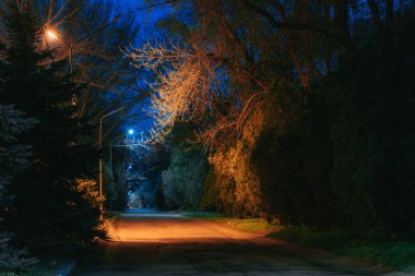 Ukrayna. NickOPOL. Haziran 2017: Ukrayna Şehir Konseyi