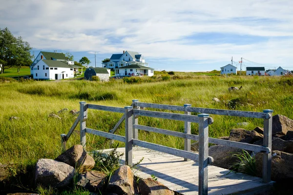Nova Scotia manzarası: otlağın yanındaki küçük köprü
