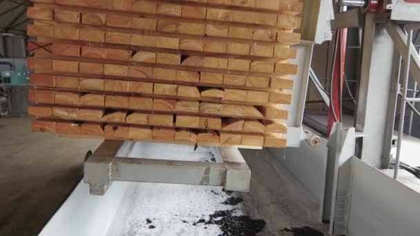 Блок древесных плит после промокания в специальном растворе — стоковое видео