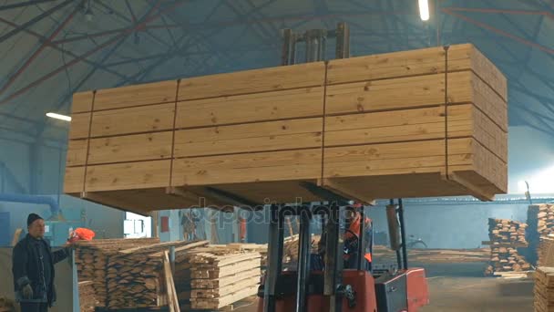 Trucks Transporting Blocks of Wood. Indoor. — Stock Video