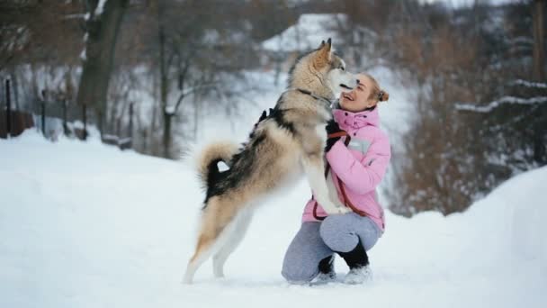 一个年轻的女孩，抚摸她的狗 — 图库视频影像
