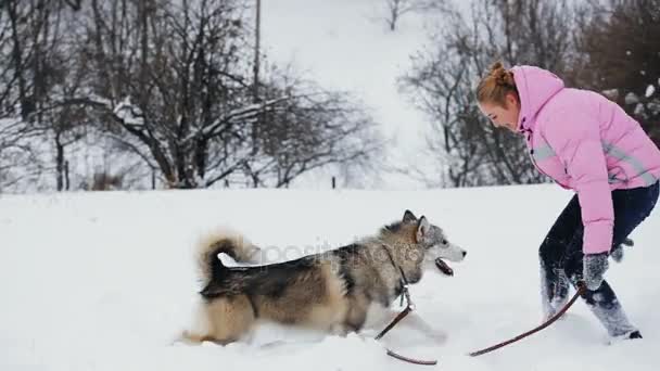 Vintern leker med sällskapsdjur — Stockvideo