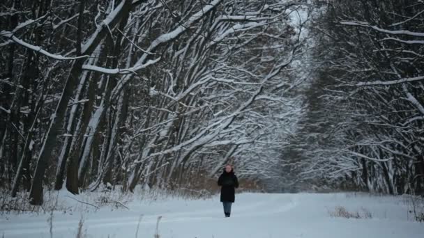 Jeune femme perdue son chemin dans les bois en hiver . — Video