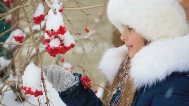 女の子がガマズミ属の木の束を冬の屋外に保持してください。. — ストック動画