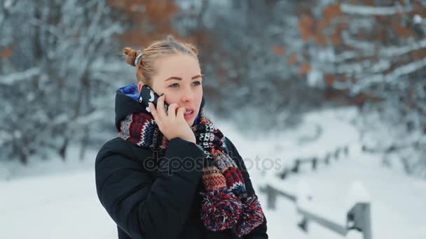 Chica en el parque de invierno hablando en la celda — Vídeos de Stock