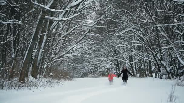 Meisjes lopen In de sneeuw In het bos. — Stockvideo