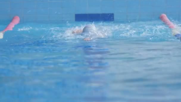 L'athlète nage ramper dans la piscine — Video
