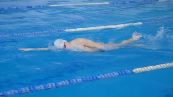 Atletas entrenados nadadores en la piscina — Vídeos de Stock