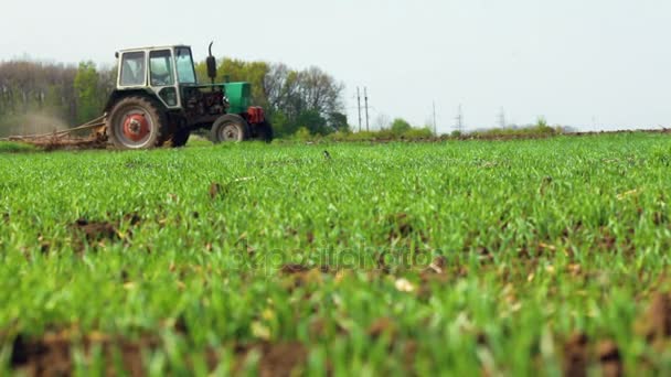 Agricultural Tractor Sowing And Cultivating Field — Stock Video