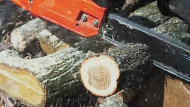 Mit Kettensäge in Zeitlupe durch Holz schneiden — Stockvideo