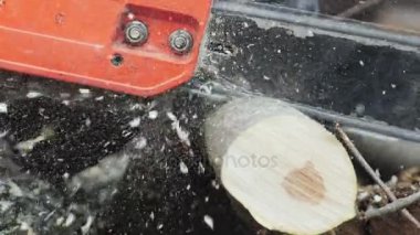 Testere kesme günlük ayrıntı atış