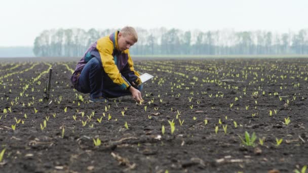 Agricultor joven con tableta digital — Vídeo de stock