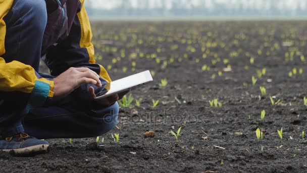 Jovem agricultor a verificar o progresso. Fechar. — Vídeo de Stock