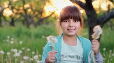 Güzel kız dandelions sallıyor. Ağır çekim