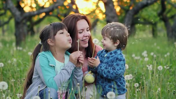 Rodinné hodnoty. Maminka s dvěma dětmi — Stock video
