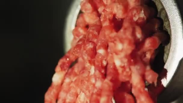 Åtgärd av köttkvarn maskin med färsk hackat kött — Stockvideo