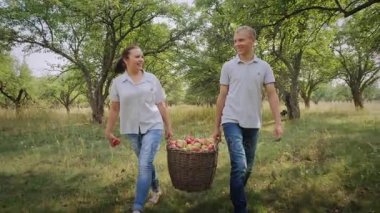 Çiftçiler elma tam bir sepet taşımak