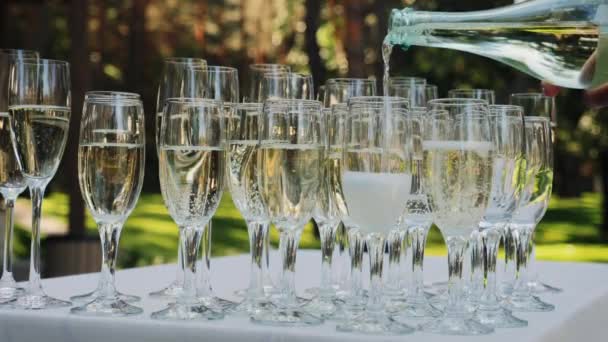 Champagne is gegoten in de glazen. Slow motion — Stockvideo